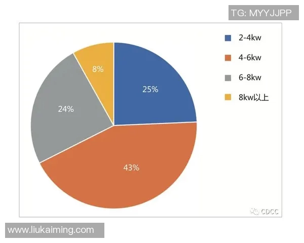 成都滑板队技术表现数据分析与提升策略探讨